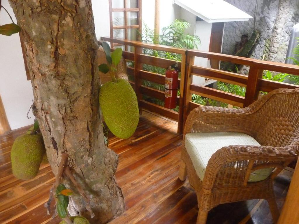 ปาโล อัลโต เบด แอนด์ เบรคฟาสท์ Bed & Breakfast Puerto Princesa ภายนอก รูปภาพ