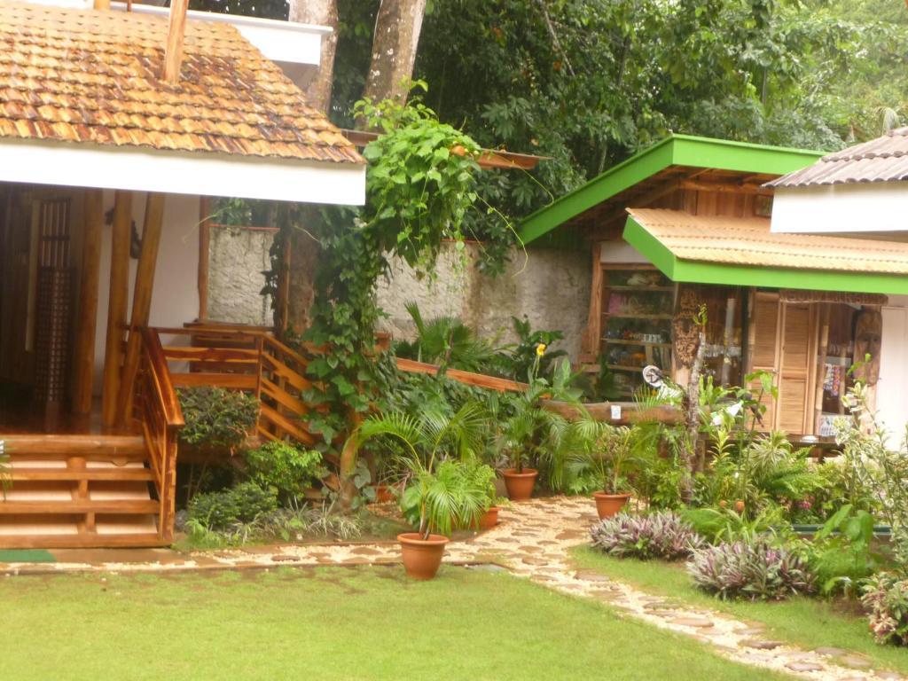 ปาโล อัลโต เบด แอนด์ เบรคฟาสท์ Bed & Breakfast Puerto Princesa ภายนอก รูปภาพ